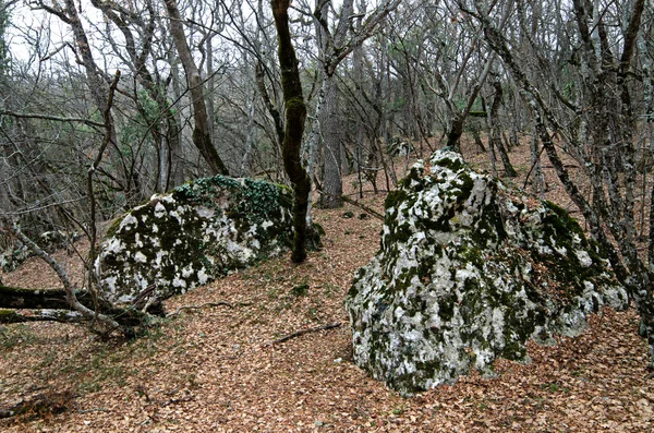 クリミア半島の丘 — ストック写真