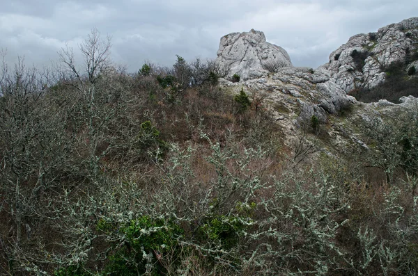 Hills in Crimea — Stock Photo, Image