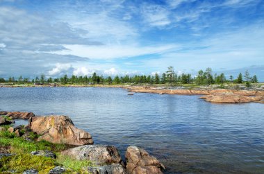 beyaz deniz kıyısında