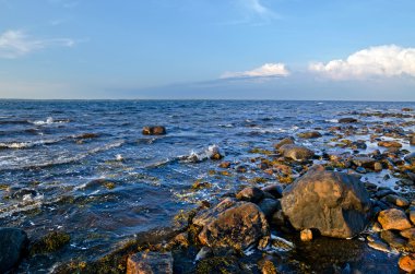 beyaz deniz kıyısında