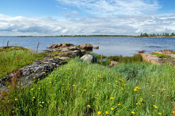 beyaz deniz kıyısında