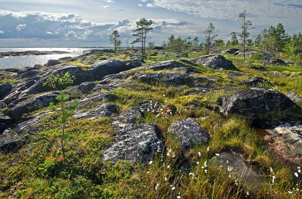 Coast of the White sea — Stock Photo, Image