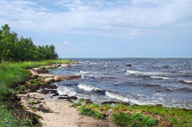 beyaz deniz kıyısında