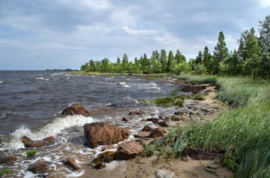 beyaz deniz kıyısında