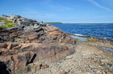 beyaz deniz kıyısında