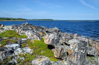 beyaz deniz kıyısında