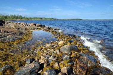 beyaz deniz kıyısında