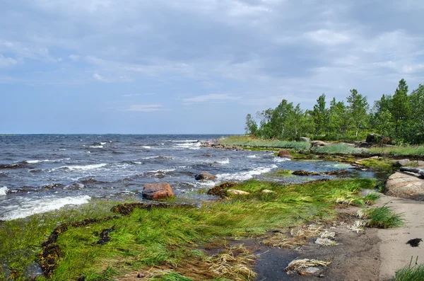 beyaz deniz kıyısında