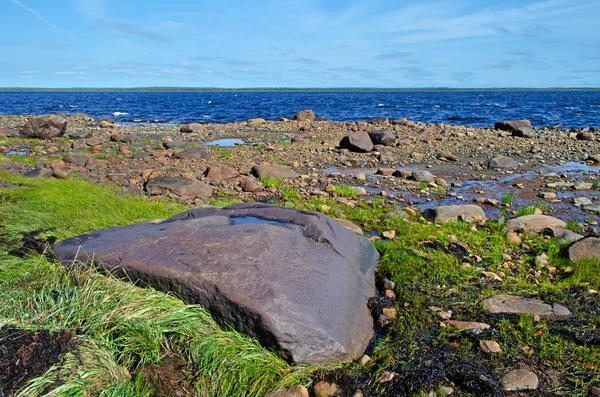 beyaz deniz kıyısında