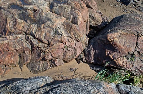 beyaz deniz kıyısında