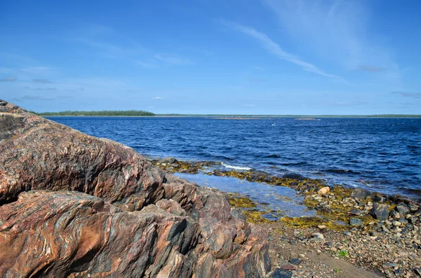 beyaz deniz kıyısında