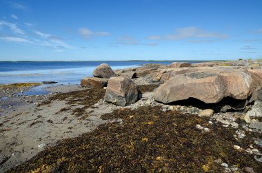 beyaz deniz kıyısında