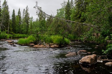 Nehrin Unduksa Kuzey Kareliya, Rusya