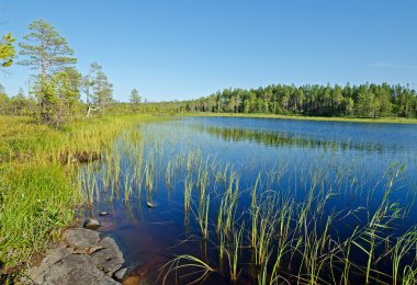 Lake Magrino, Kareliya, Rusya Federasyonu