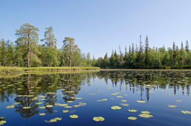 Nehrin Unduksa Kuzey Kareliya, Rusya