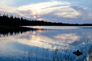 Düşüş Gölü Leshchevo (Kareliya, Rusya Federasyonu)