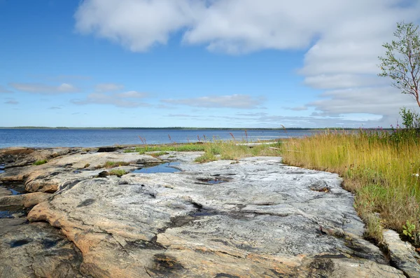 Coast of the White sea — Stock Photo, Image