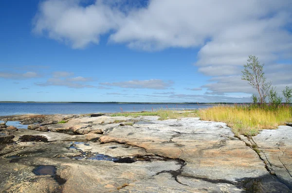 beyaz deniz kıyısında