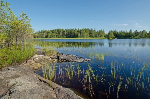 Danau Magrino, Kareliya, Rusia — Stok Foto