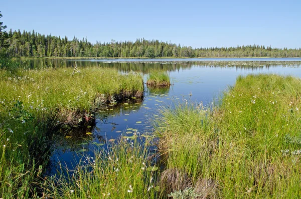 Lake Leshchevo, Kareliya, Rusya Federasyonu