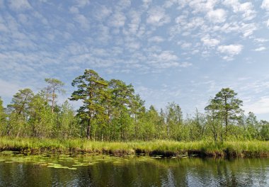 Lake Leshchevo, Kareliya, Rusya Federasyonu