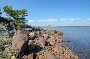 beyaz deniz kıyısında