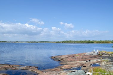 beyaz deniz kıyısında
