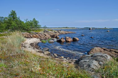 beyaz deniz kıyısında