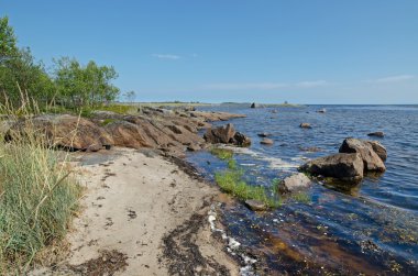 beyaz deniz kıyısında