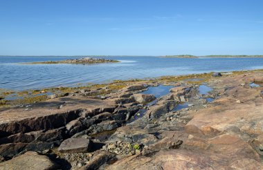 beyaz deniz kıyısında