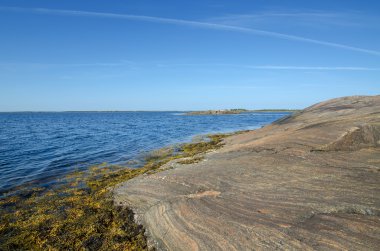 beyaz deniz kıyısında