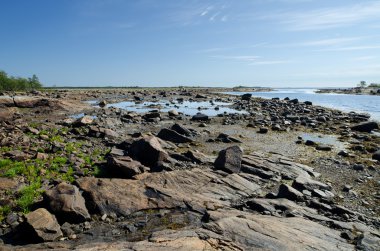 beyaz deniz kıyısında