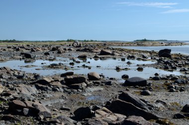 beyaz deniz kıyısında