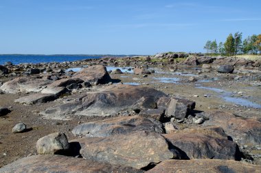 beyaz deniz kıyısında