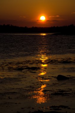 beyaz deniz kenarında düşüş