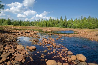 beyaz deniz kıyısında