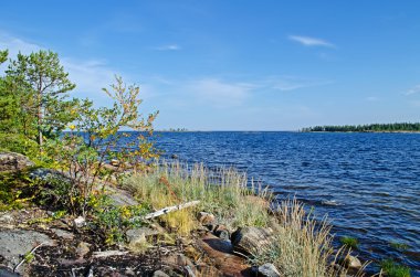 beyaz deniz kıyısında