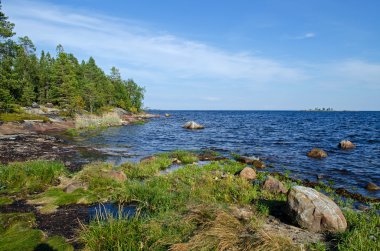 beyaz deniz kıyısında