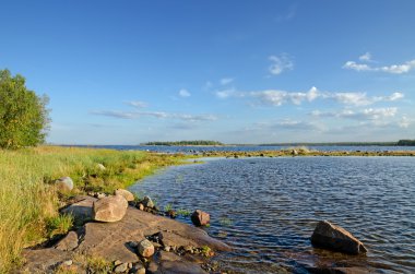 beyaz deniz kıyısında