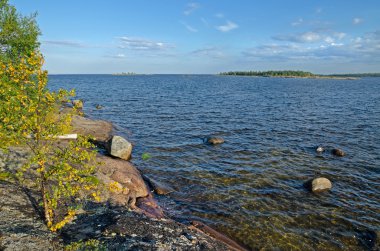 beyaz deniz kıyısında