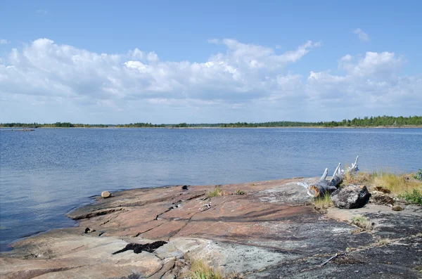 Coast of the White sea — Stock Photo, Image