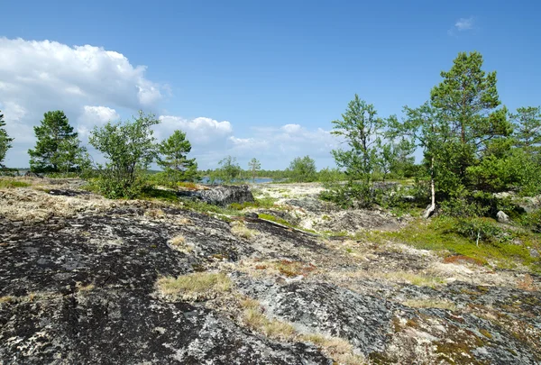 Coast of the White sea — Stock Photo, Image