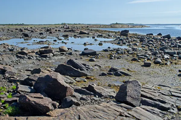 beyaz deniz kıyısında