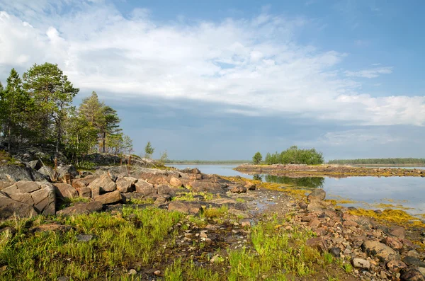 Coast of the White sea — Stock Photo, Image