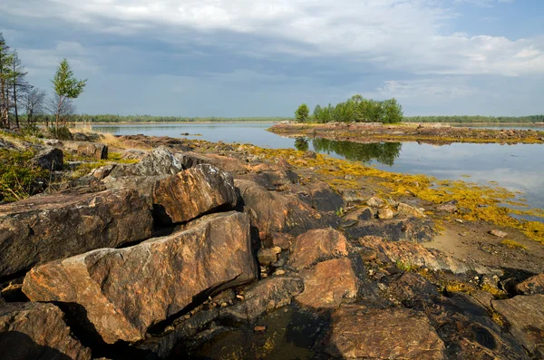 Берег Белого моря — стоковое фото