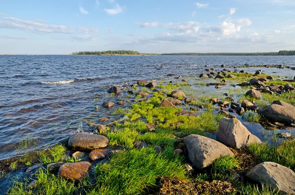 beyaz deniz kıyısında