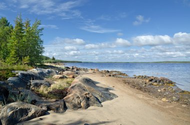 beyaz deniz kıyısında