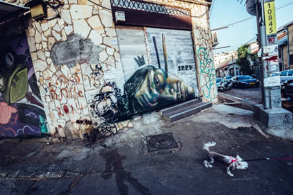 Graffiti en Tel Aviv — Foto de Stock