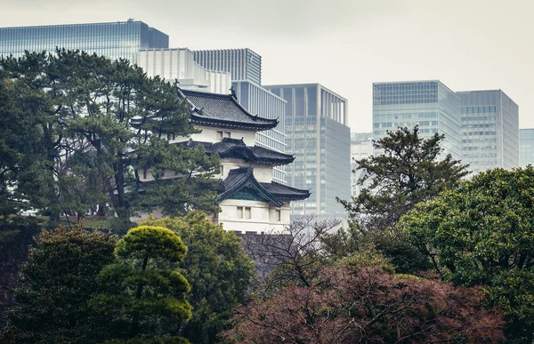 Kasteel Edo in tokyo — Stockfoto