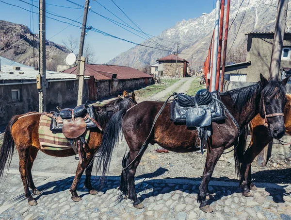 Cavalos em Stepantsminda — Fotografia de Stock